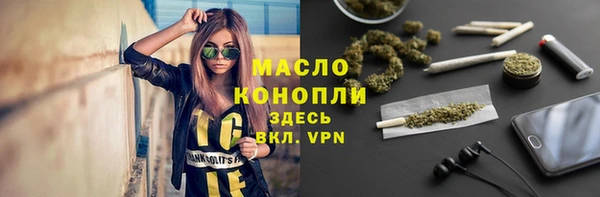 дживик Надым