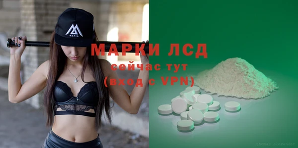 дживик Надым