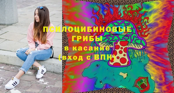 дживик Надым