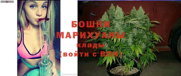 дживик Надым