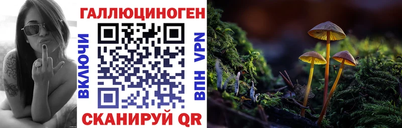 купить наркотик Тында Псилоцибиновые грибы ЛСД